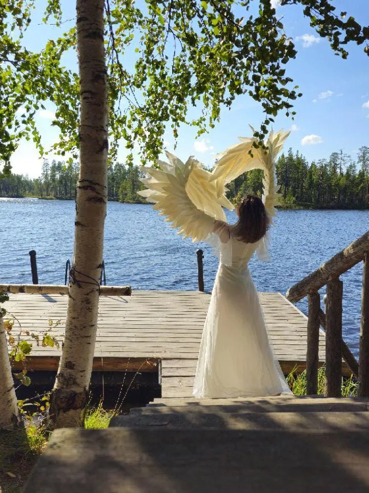 White wings, Christmas wings, sleeves, arms wings, gloves, poultry wings, swan