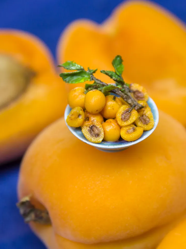 TUTORIAL Miniature apricot with polymer clay