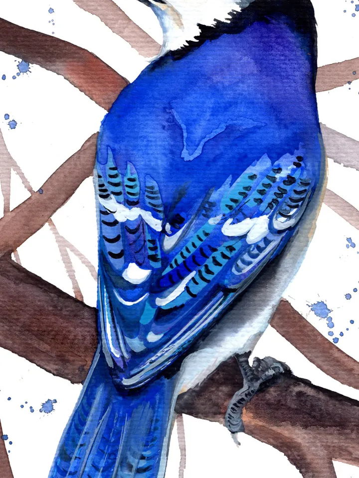 Blue Jay original watercolor, birds painting, wall decor, 7x10 in art for birds lovers by Anne Gorywine