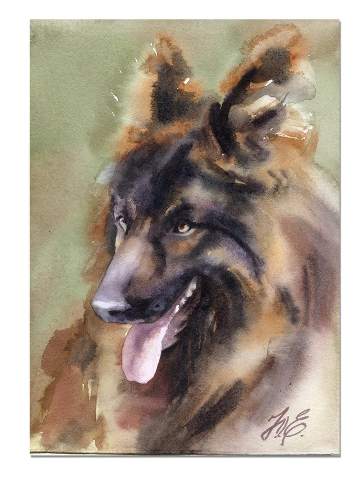 Shepherd painting Original watercolor dog artwork by Yulia Evsyukova