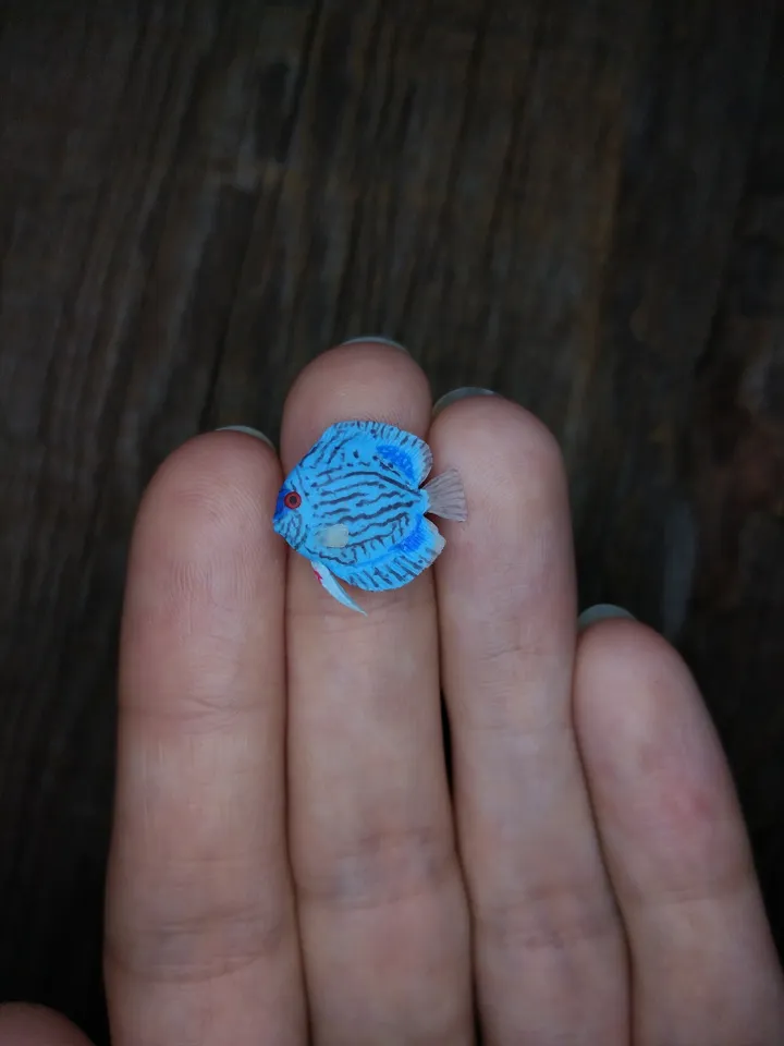 Miniature clay Discus fish 8 pcs, tiny fish for diorama, dollhouse or resin art