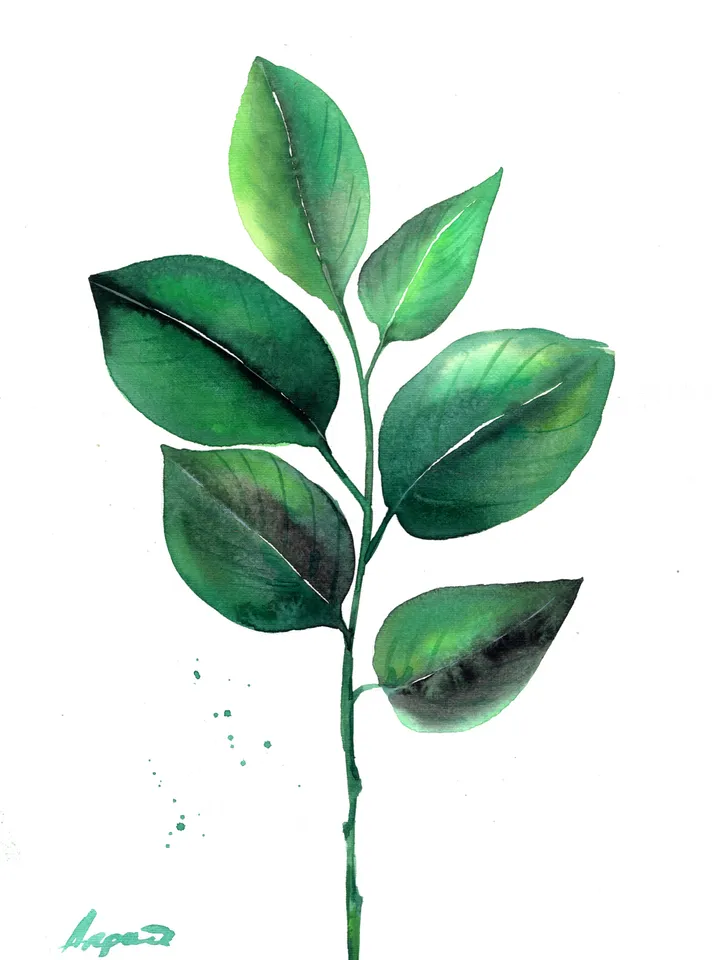 Botany illustration of green leaves Original watercolor, plant painting, wall decor, natura lover gift, 8x11 in handmade art by Anne Gorywine