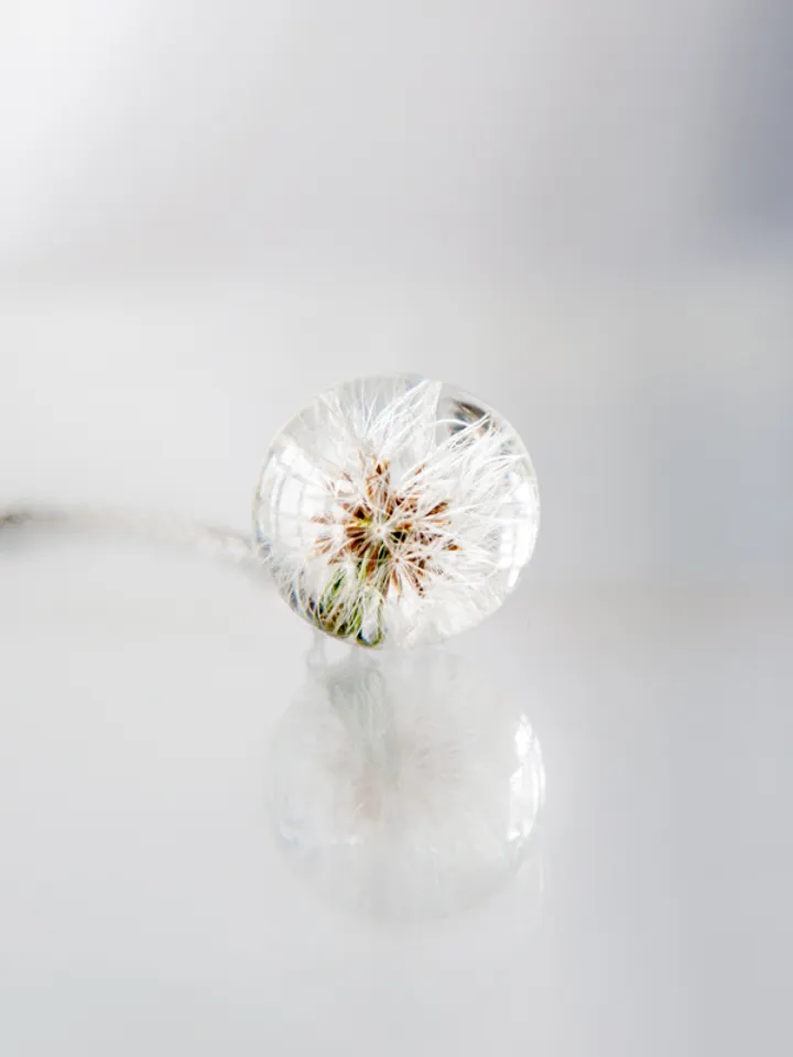 Small Dandelion - wishing necklace. Crystal clear resin globe pendant with natural dandelion flower. Make a wish sphere