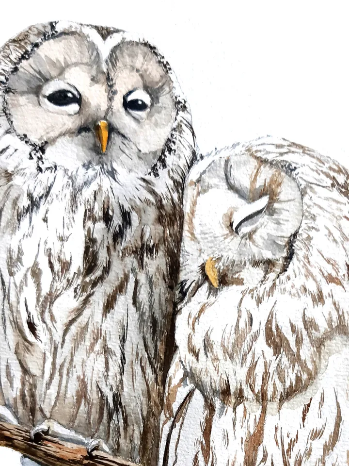 Watercolor poster OWLS (DIGITAL)