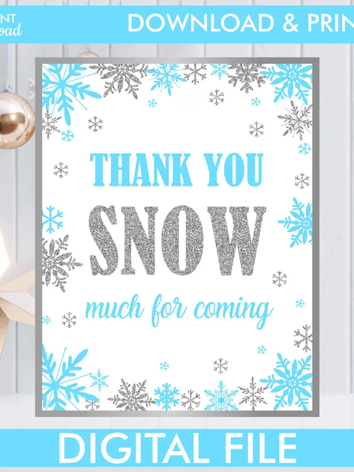 Winter Onederland Signs, Winter Onederland Birthday Boy Decorations, Blue Silver Snowflakes First Birthday Decorations Instant Download