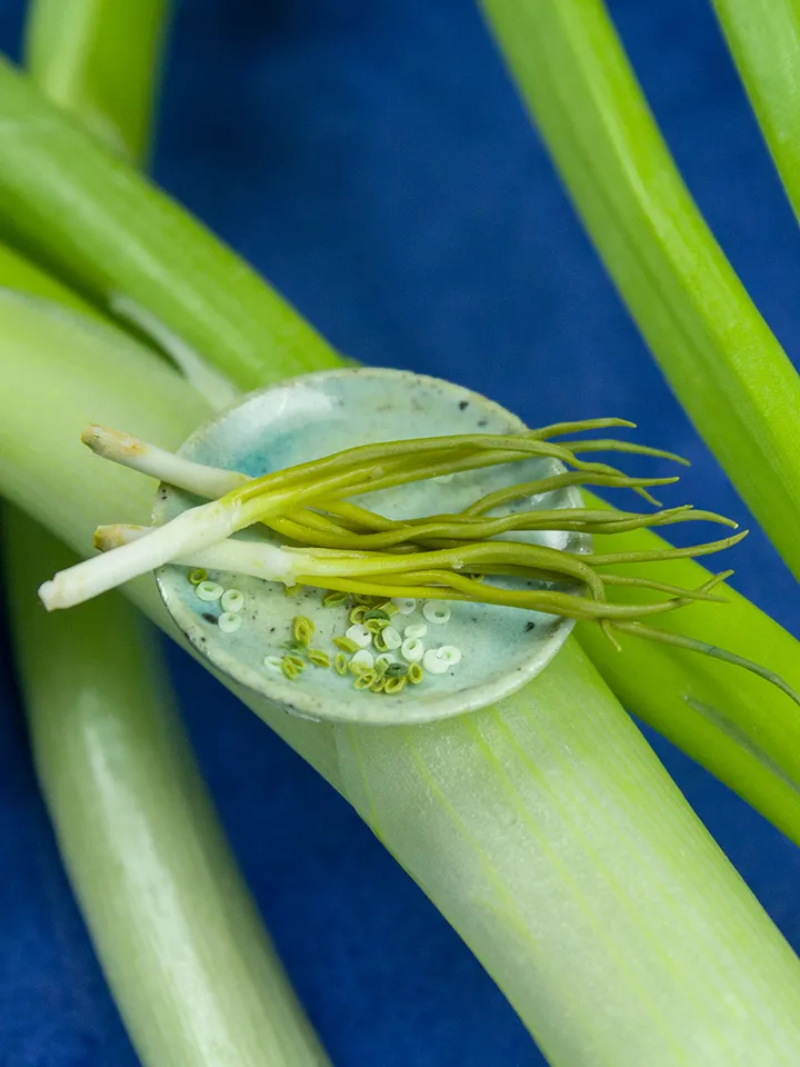 TUTORIAL Miniature green onion with polymer clay