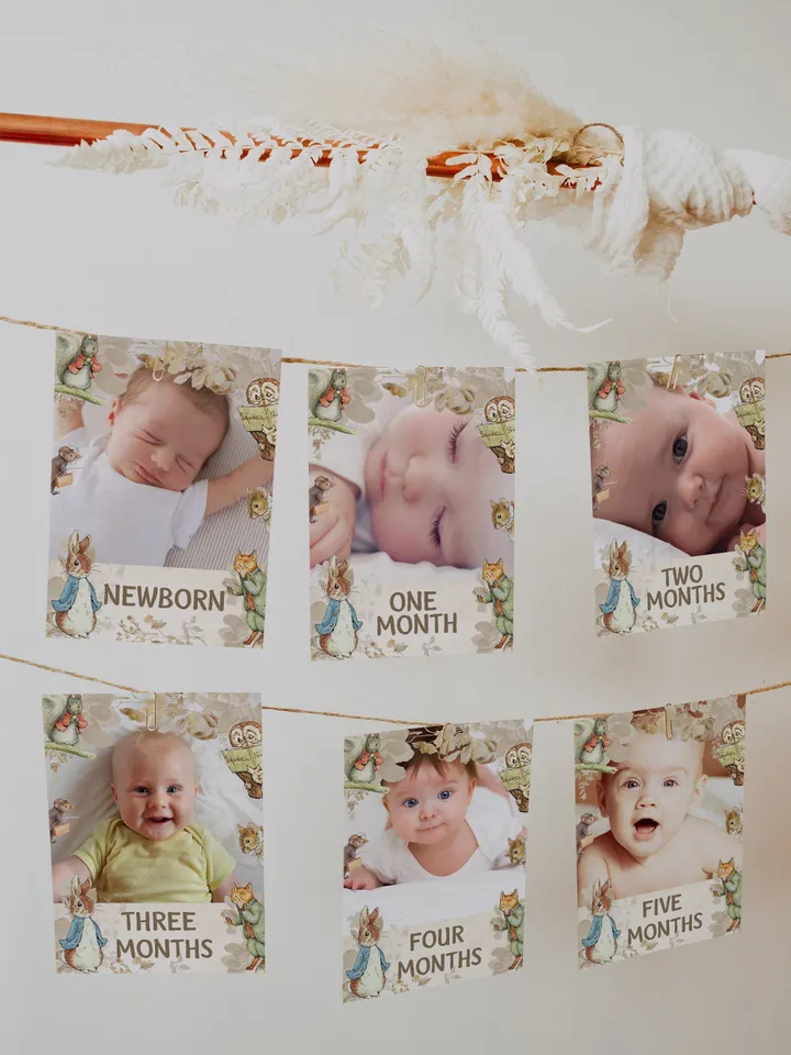 Editable Photo Banner one year garland Peter Rabbit First Birthday Photo Banner Garland; tale of Peter Rabbit Party; Instant Download; pr1
