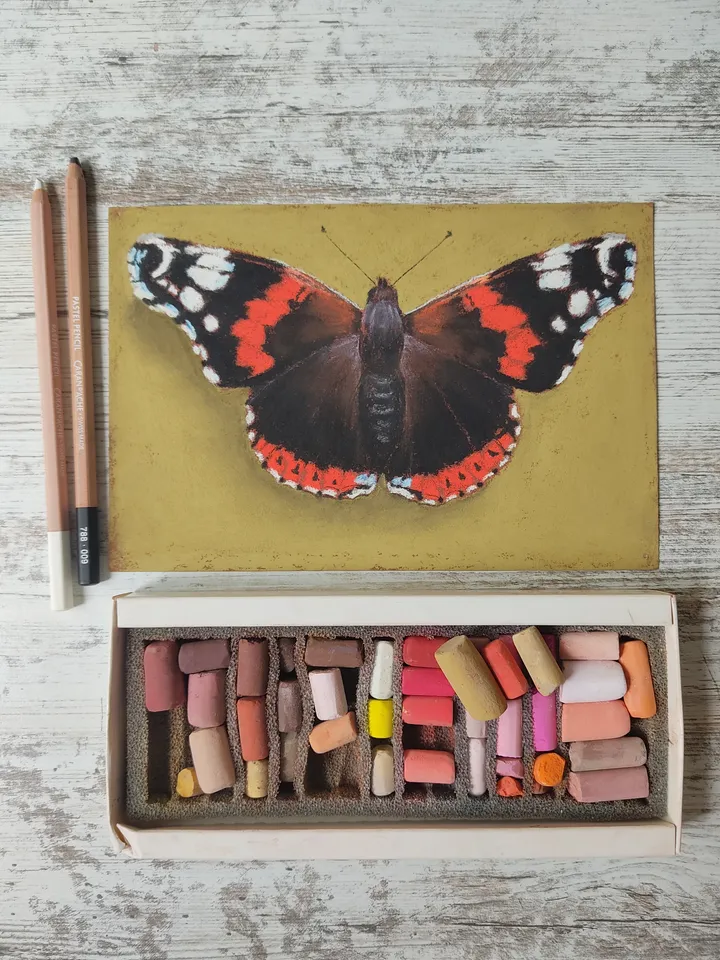 Butterfly. Original soft pastel drawing.