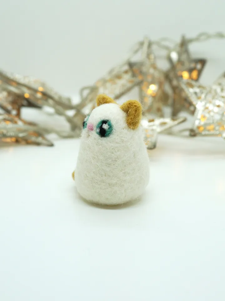 Miniature needle cat, cute cat