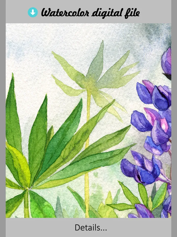 Watercolor digital print Purple Lupine Flowers, wildflowers