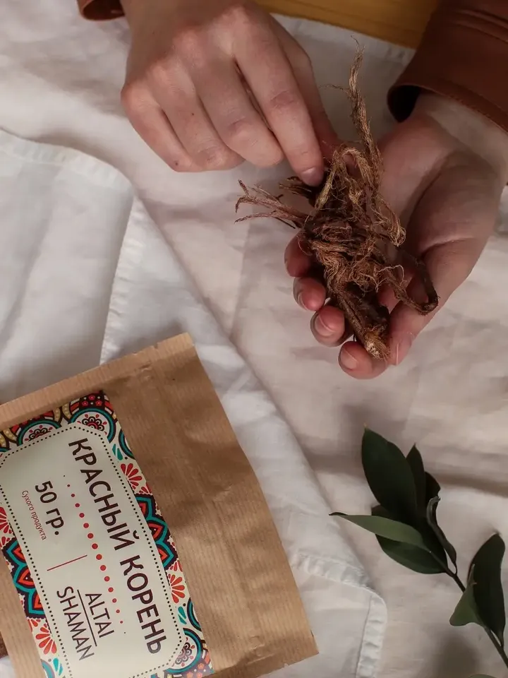 RED ROOT (Hedysarum) Altai herbs - strength and protection of men's health from Siberia