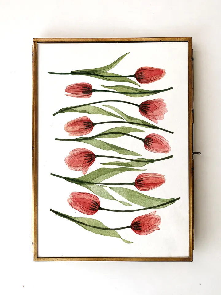 Watercolor print Tulips, transparent plants illustration (DIGITAL)