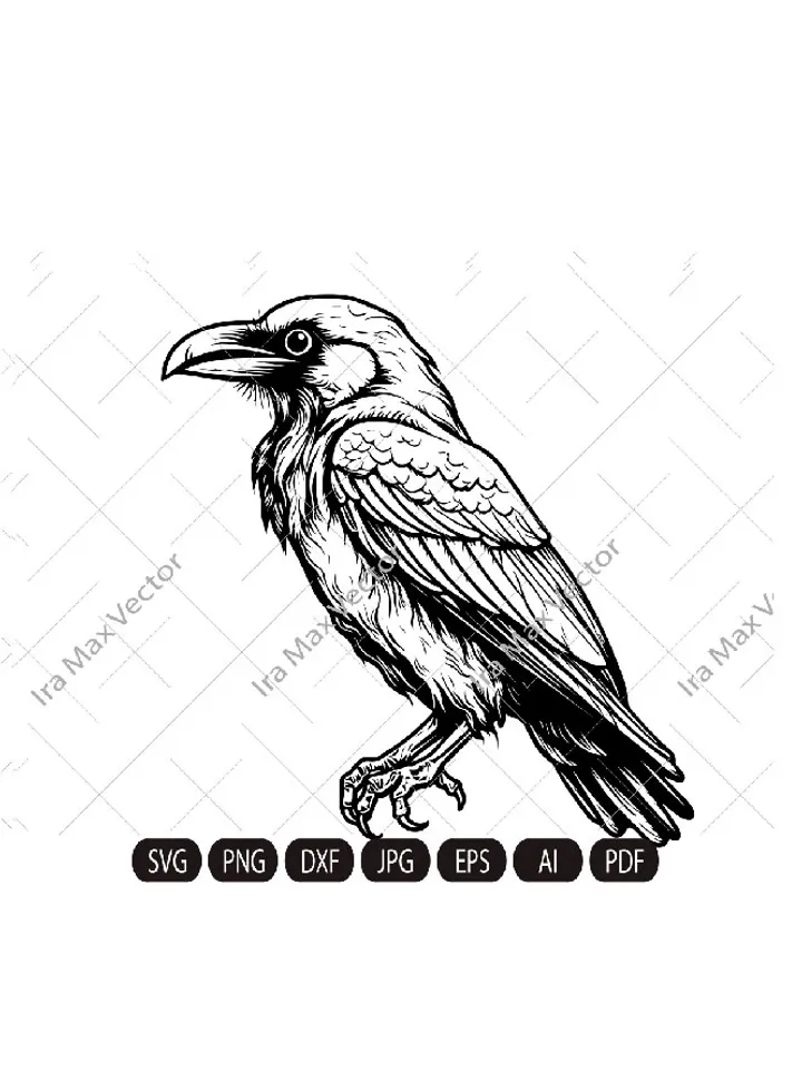 Raven SVG ,Black Crow svg, Raven sitting svg, Crow sitting svg,Cute crow, Vintage Design, Gothic Art, Raven Print, Printing Clipart, Birds
