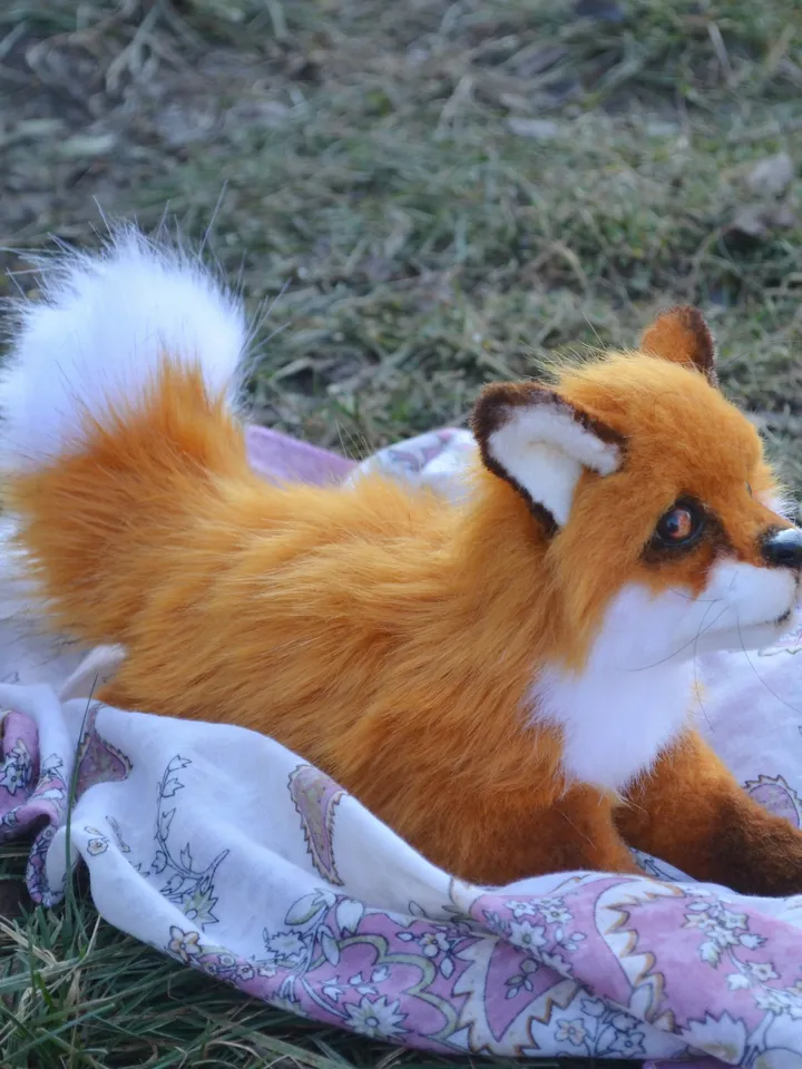 Little fox.