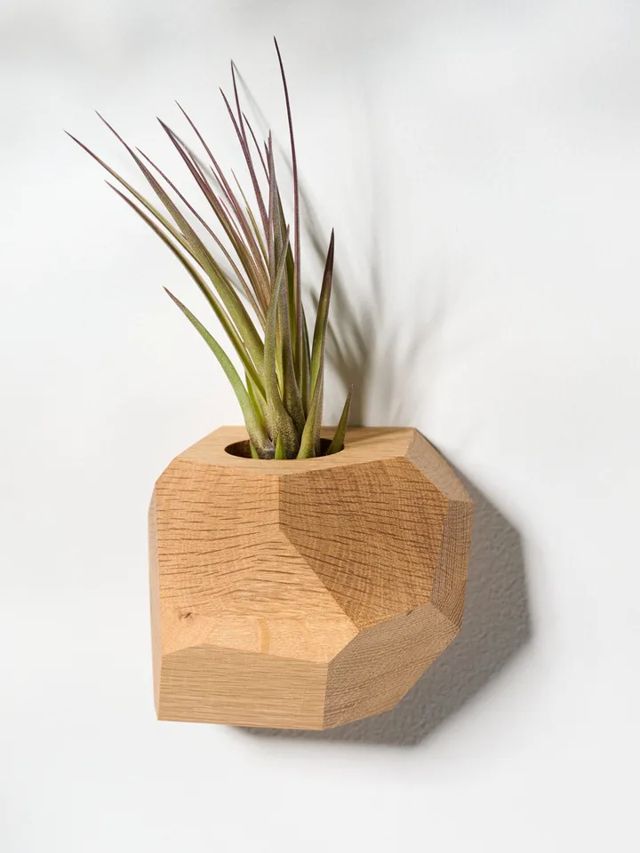 Set of 4 White Oak Geometric Air Plant Holder