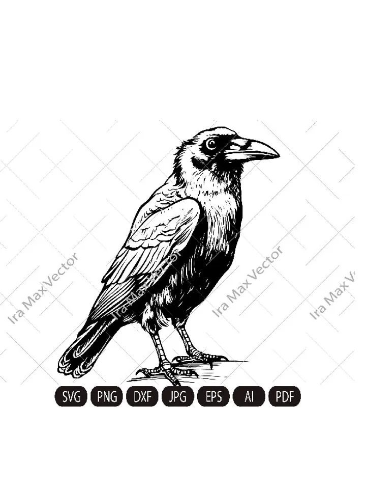 Raven SVG ,Black Crow svg, Raven sitting svg, Crow sitting svg,Cute crow, Vintage Design, Gothic Art, Raven  Print, Printing Clipart, Birds