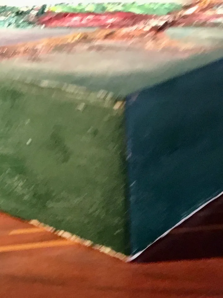 Quetzal bird,original oil impasto style painting on wooden box ,birds painting,exotic birds painting,wall decoration,unique gifts.