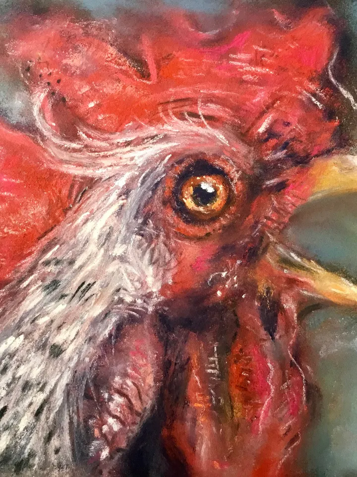 Red rooster original soft pastel painting on cardboard,funny animals pastel art,small painting gift,kitchen wall decoration.