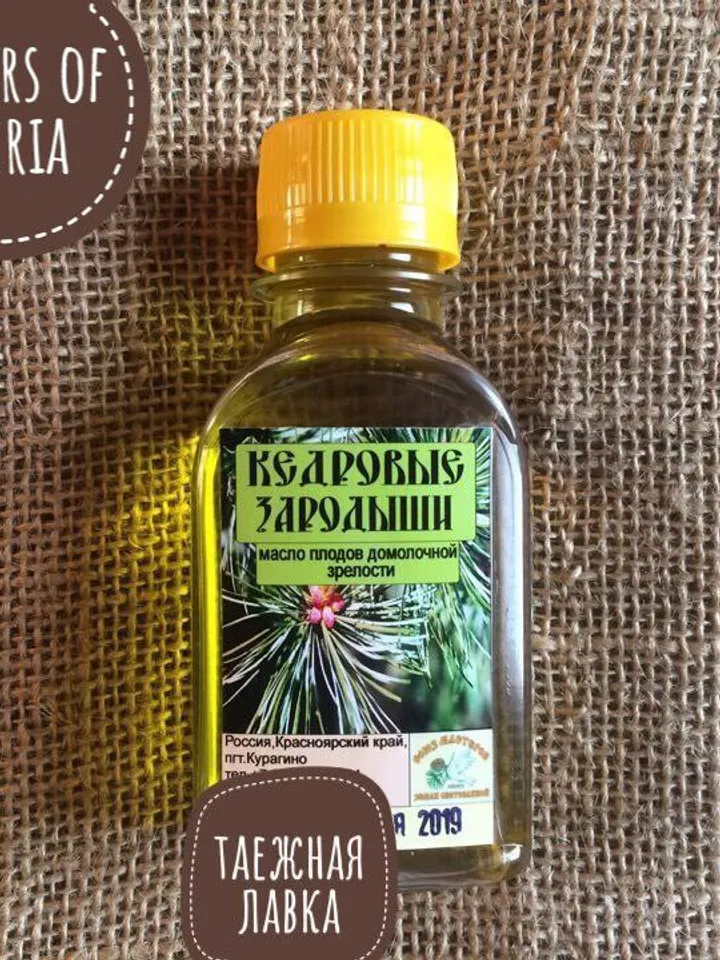 Cedar Fruit Oil To Milk Maturity "Cedar Embryos" / Unique Healing ECO-Product From The Siberian Taiga 100 Ml / 3.38 Oz