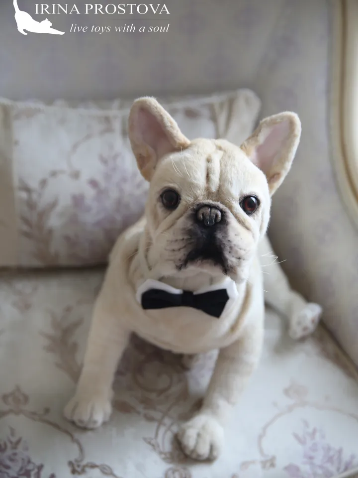 French Bulldog realistic plush animals. Ooak toy. Dog stuffed toy