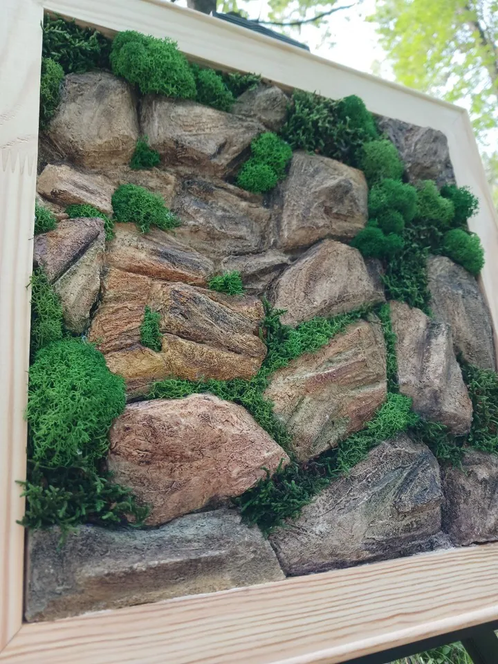The rock of the house