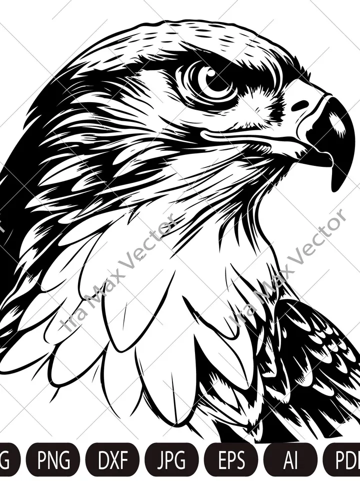 Falcon Svg, Falcon Clipart, Falcon Png, Falcon Head, Falcon Cut Files For Cricut , Falcon Silhouette, Bird Silhouette