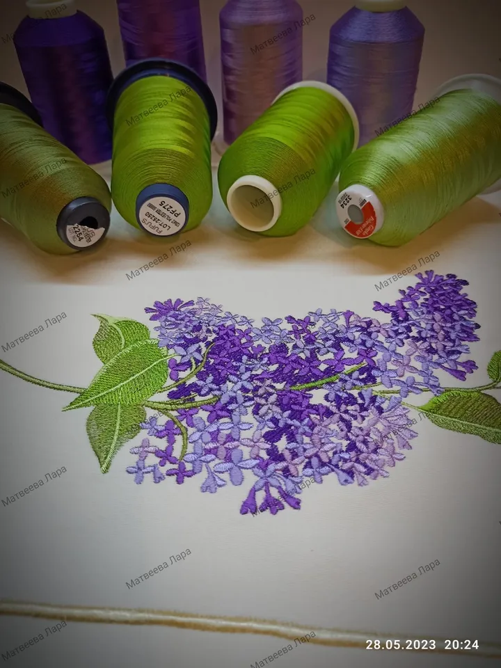 lilac