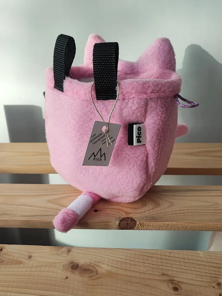 Chalk bag Сat for rock climbing