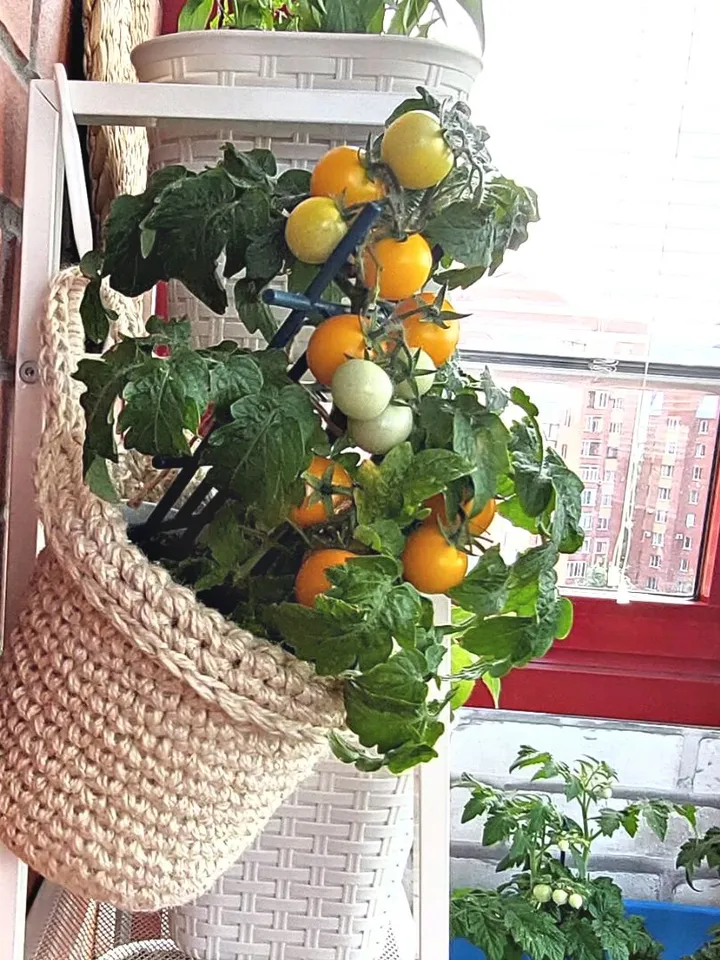 Autumn minimalist kitchen decor Crochet pattern PDF+Video