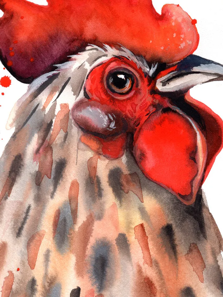 Rooster Original watercolor, farm bird painting, wall decor, 8x11 in handmade art by Anne Gorywine