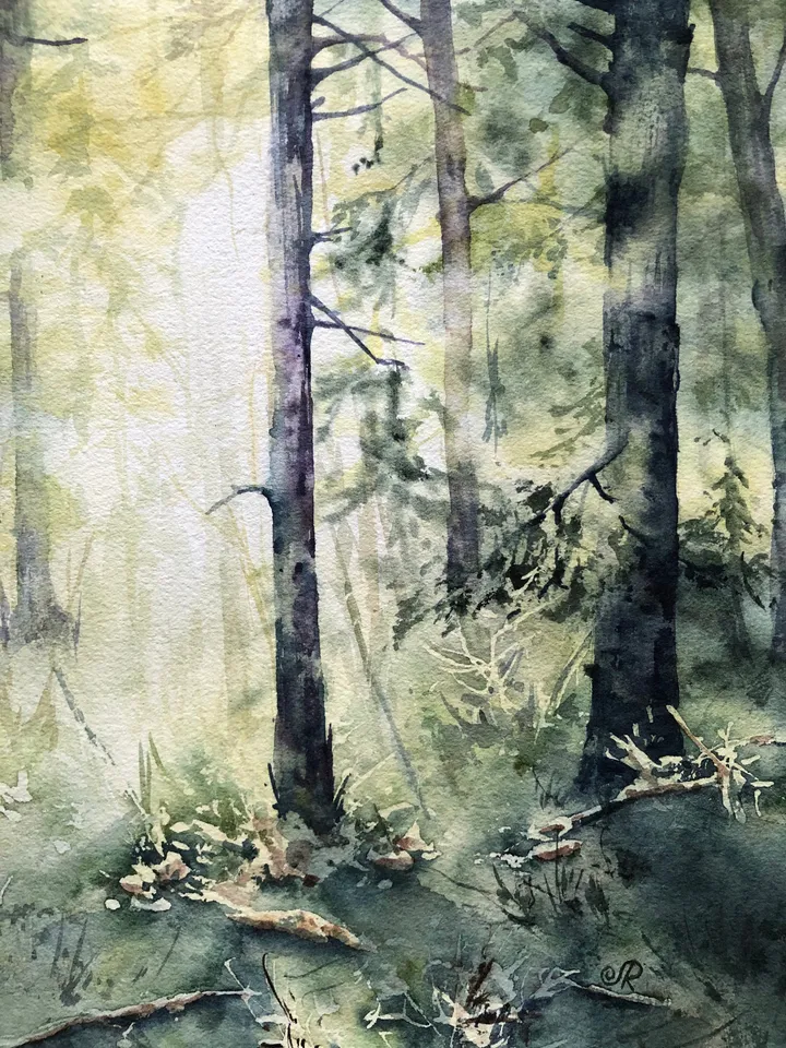 Forest Painting Original Trees Watercolor Painting Sunset Wall Art