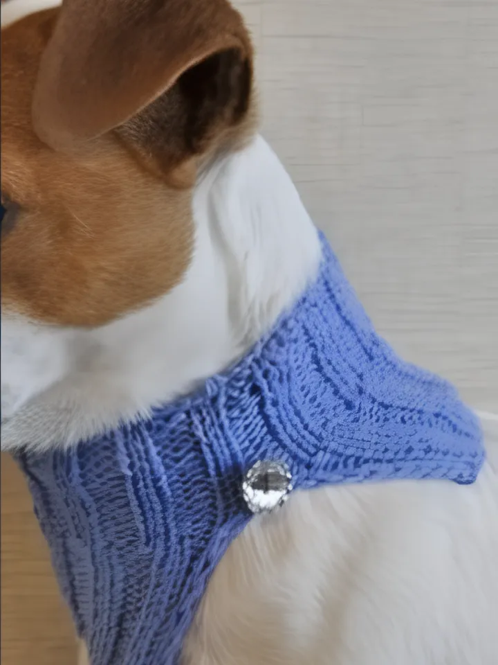 Dog Cowl