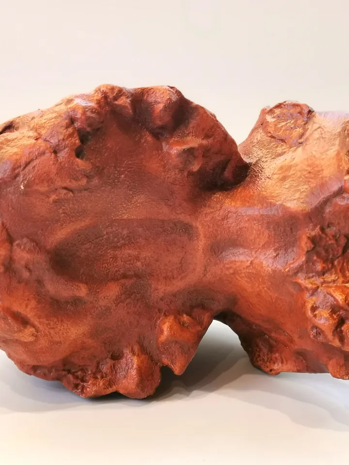 Homo Rudolfensis Skull Replica (KNM-ER), Prehistoric Fossil Collection, Realistic Hominid Skull