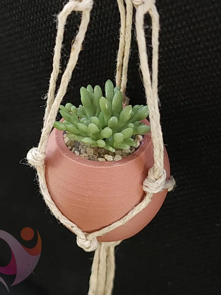 Mini Plant Refrigerator Magnet Tiny Succulent Macrame Hanger for Fridge Unique Gift for Plant Lovers Boho Kitchen Decor Under 10