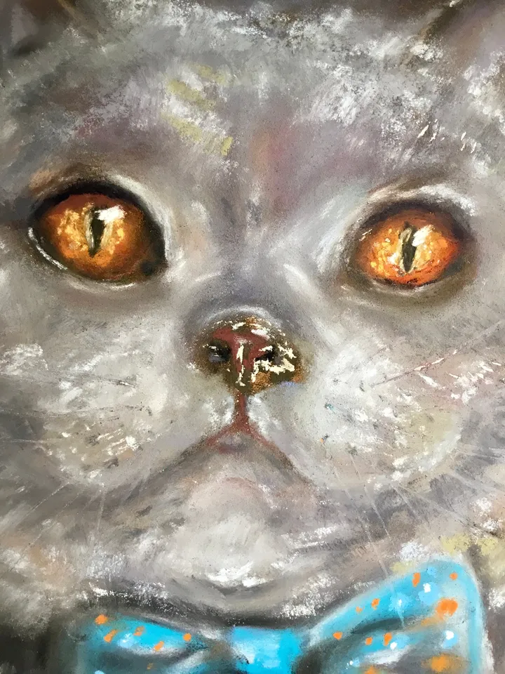British cat with a bow tie original spft pastel painting on pastel cardboard,funny animals painting,cats painting,cat lovers gift,wall art.
