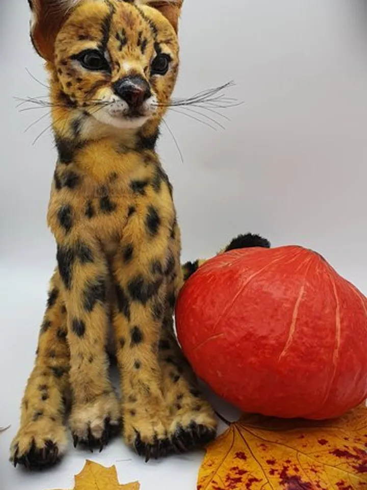 Sewing PATTERN Serval Toy-Collectible Toy - Posing Toy- Serval Toy