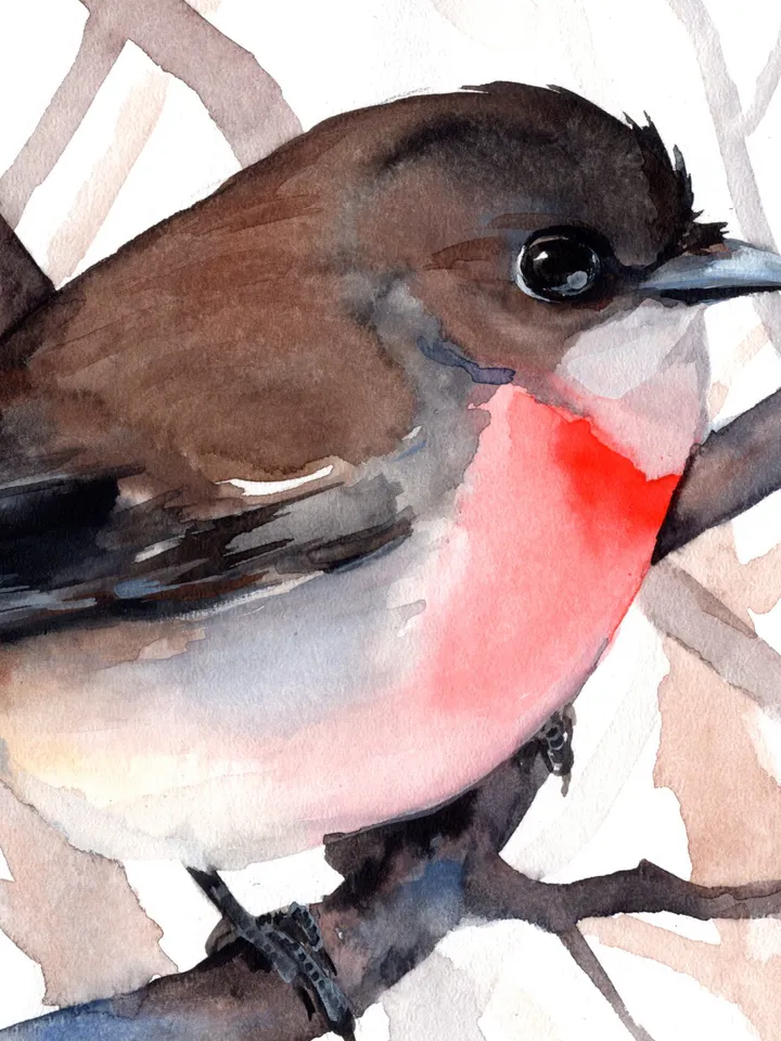 Little Red Robin original watercolor, birds painting, handmade wall decor, 5x7 in art for bird lovers by Anne Gorywine
