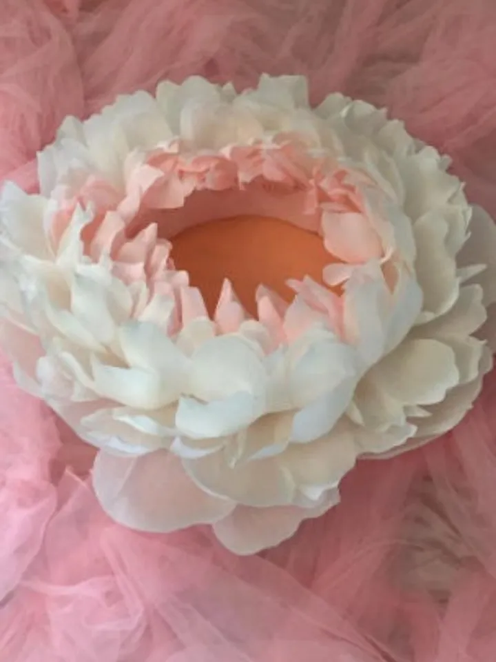 Giant Flower Newborn Baby Photography Props Children Props newborn Newborn Photo Prop Props newborns newborn props girl