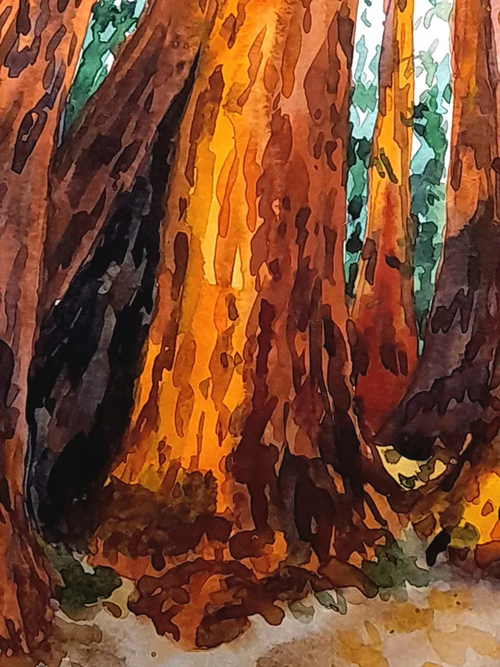 Redwood Painting Watercolor Original Art Sequoia Painting California Art 16 by 11 National Park Wall Art by TatianaArtShop