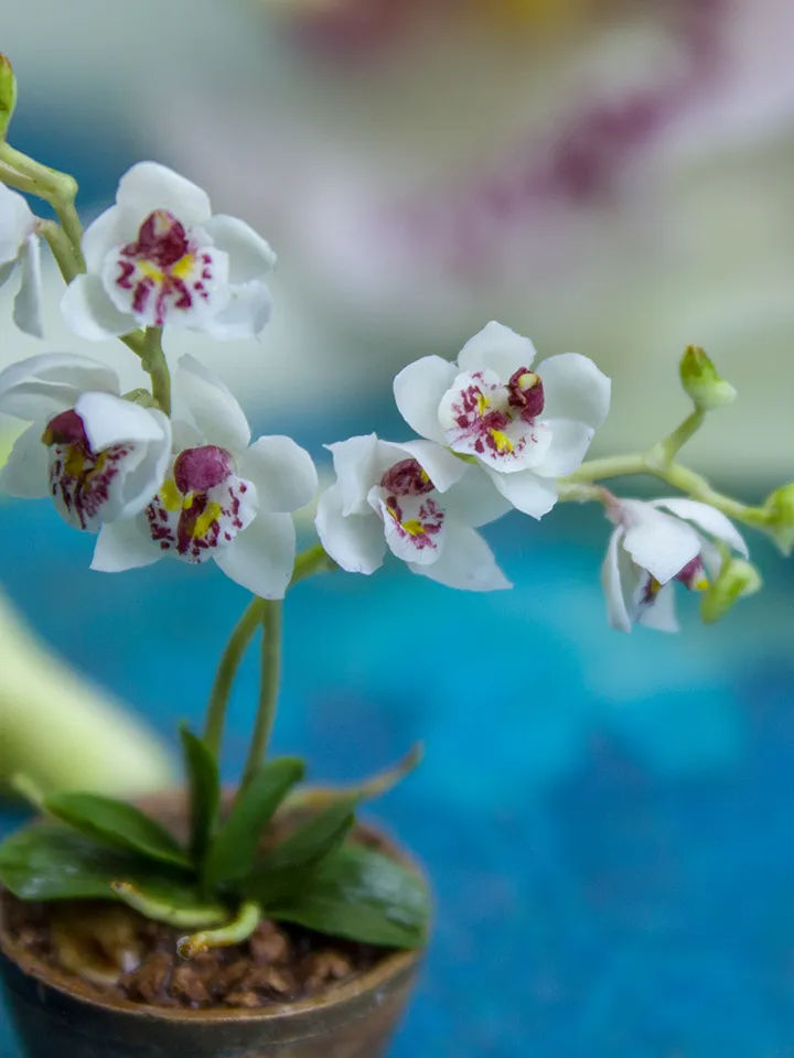 TUTORIAL Miniature orchid with air dry clay