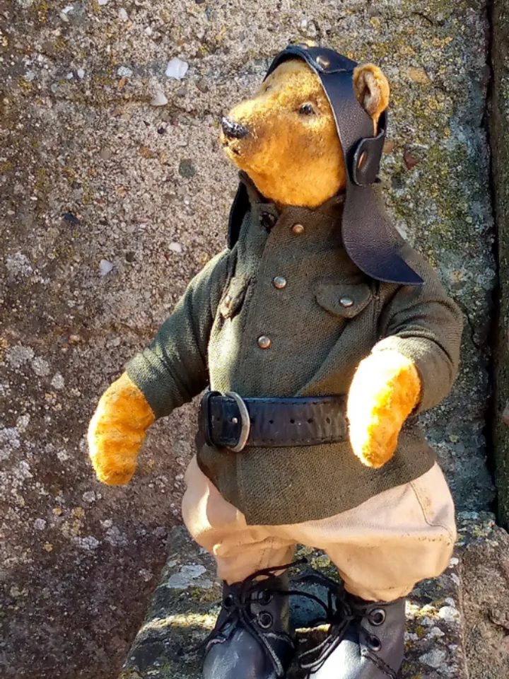 Cool teddy bear 23 cm, designer plush bear 9 inches