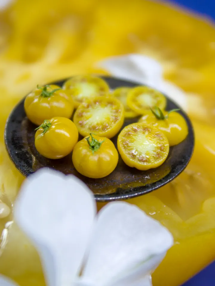 TUTORIAL Miniature big yellow tomato cane with polymer clay