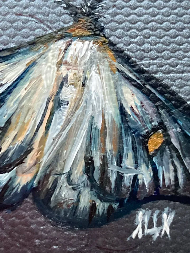 Moth Painting Original Gold Frame Art Original Oil Painting Small 3x4 Butterfly Artwork Enotomology Wall Decor