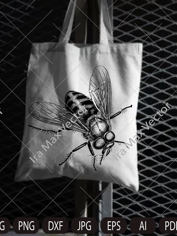 Fly Svg, house fly Svg, Insect Svg, Fly Clipart, Fly cut file, fly detailed, Fly realistic, Fly Png, Fly Dxf,fly insect