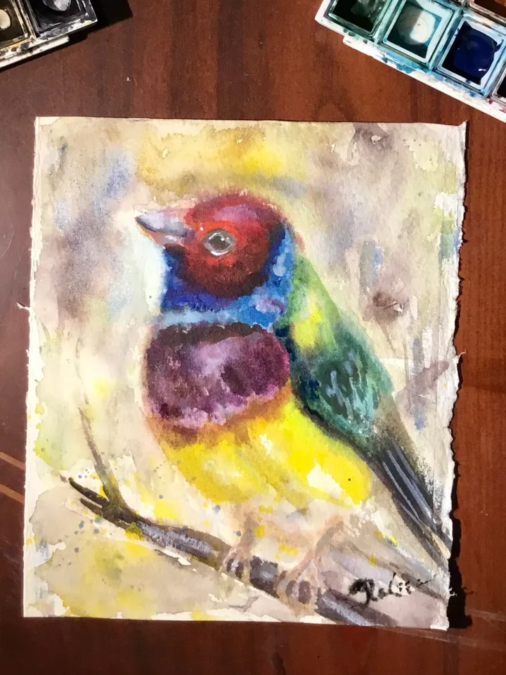 Bullfinch bird,colourful bird watercolor original painting,birds painting,small painting gift,kids room wall hanging,home decoration.