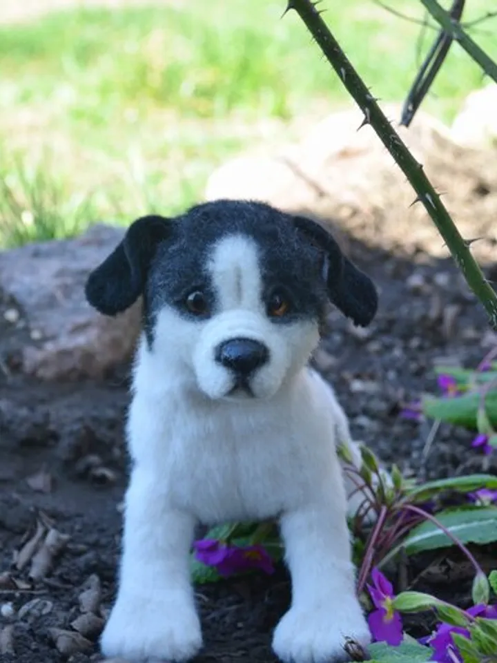 Stuffed toy puppy.