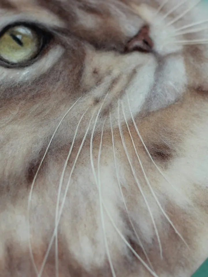 Realistic Felted cat portrait from photo,Christmas Gift Wrapping,Customized gift