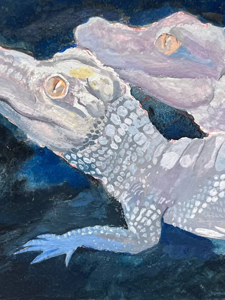 alligator