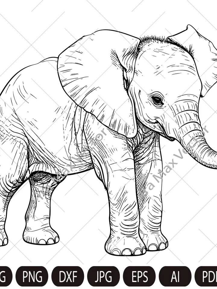 Baby Elephant Svg, Elephant Clipart, Elephant Png, Elephant Head, Elephant detailed , Elephant Silhouette, Animals Silhouette