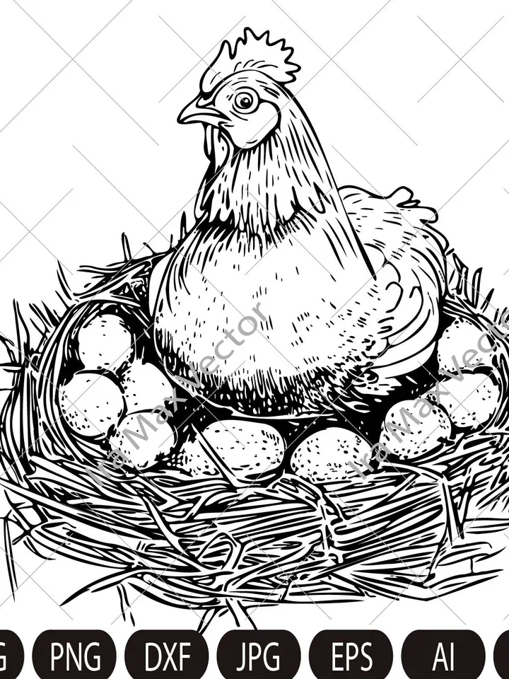 Hen Laying  Eggs in a Nest, Funny hen, Chicken Clipart, Instant Digital Download SVG EPS PNG pdf ai dxf jpg ,Cut Files
